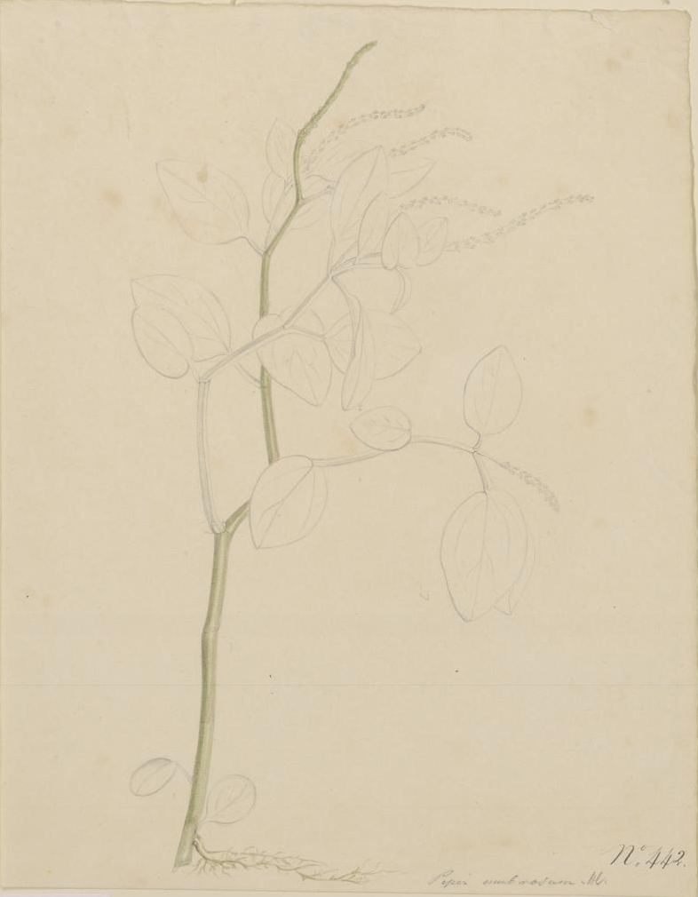 no full size  illustration available (3a)