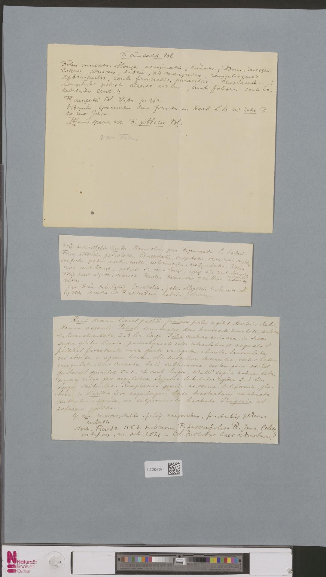 no full size  illustration available (3a)