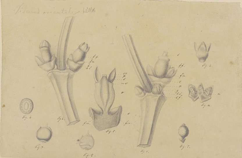 no full size  illustration available (3a)