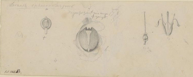 no full size  illustration available (3a)