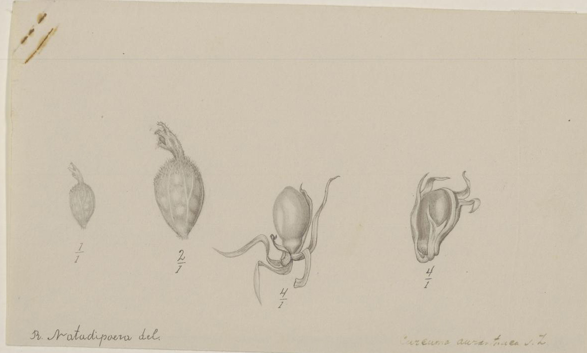 no full size  illustration available (3a)