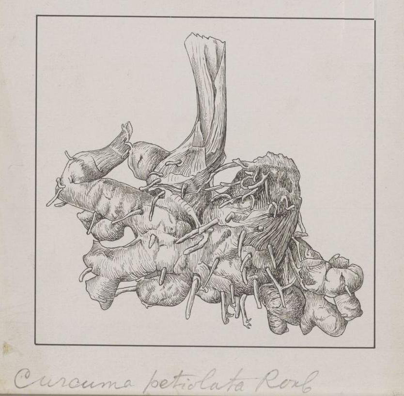 no full size  illustration available (3a)