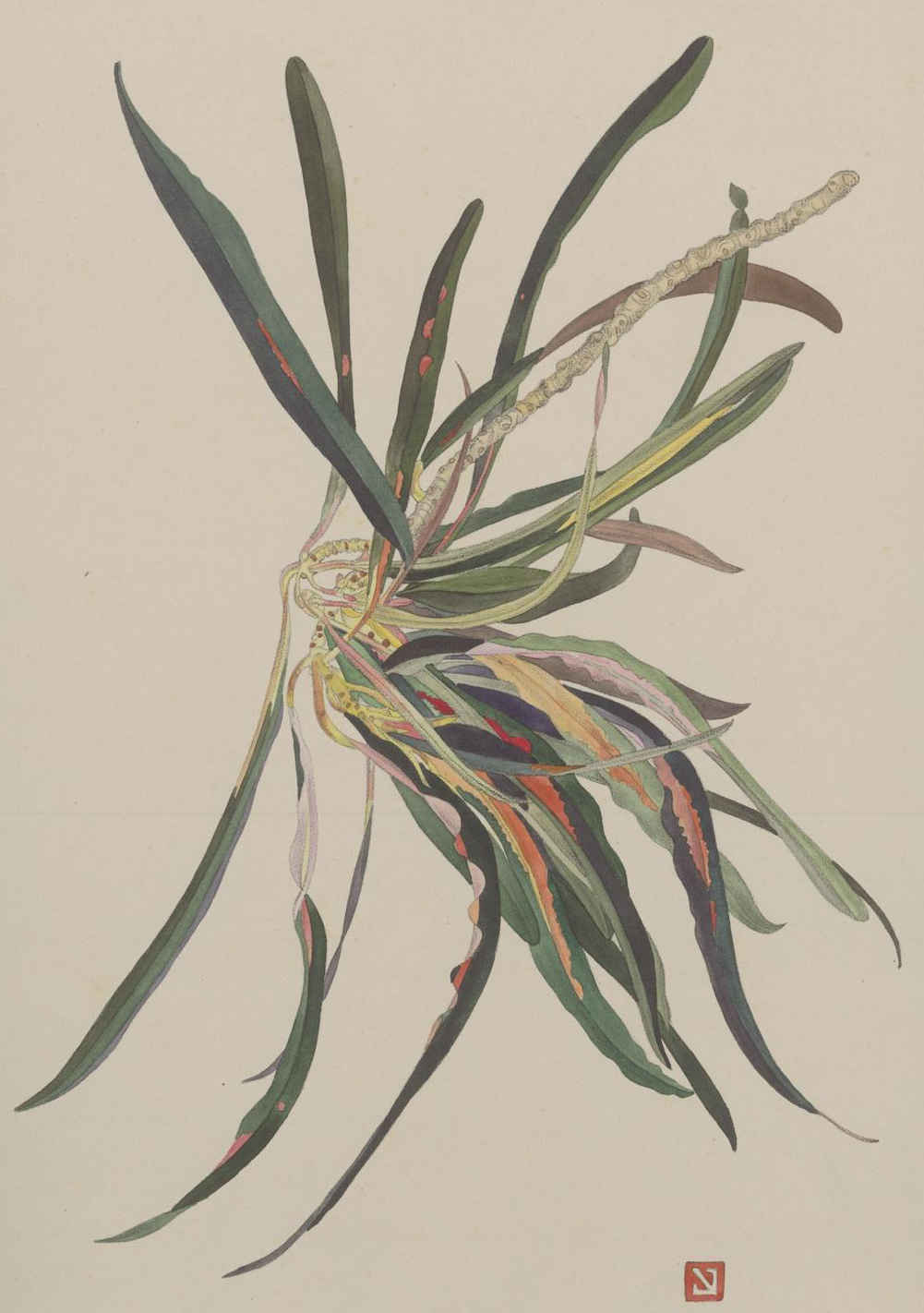 no full size  illustration available (3a)