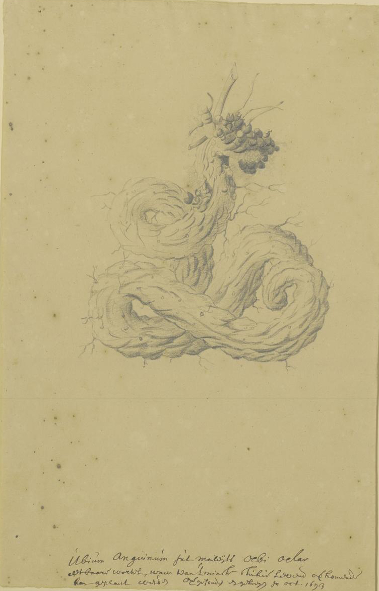 no full size  illustration available (3a)