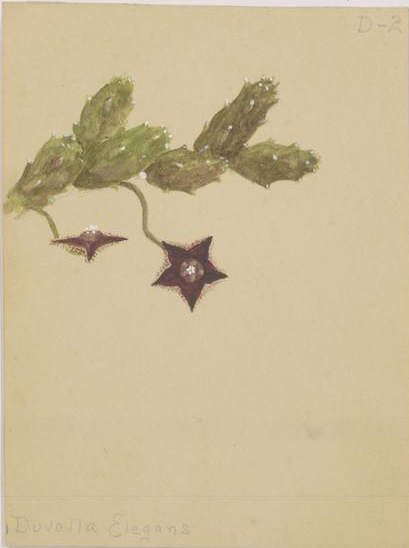 no full size  illustration available (3a)