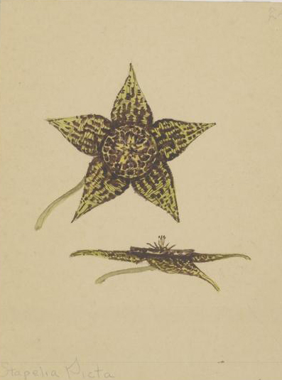 no full size  illustration available (3a)