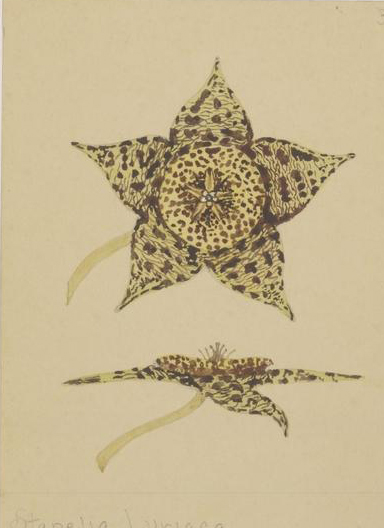 no full size  illustration available (3a)