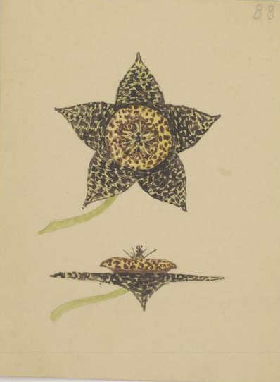 no full size  illustration available (3a)