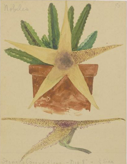 no full size  illustration available (3a)