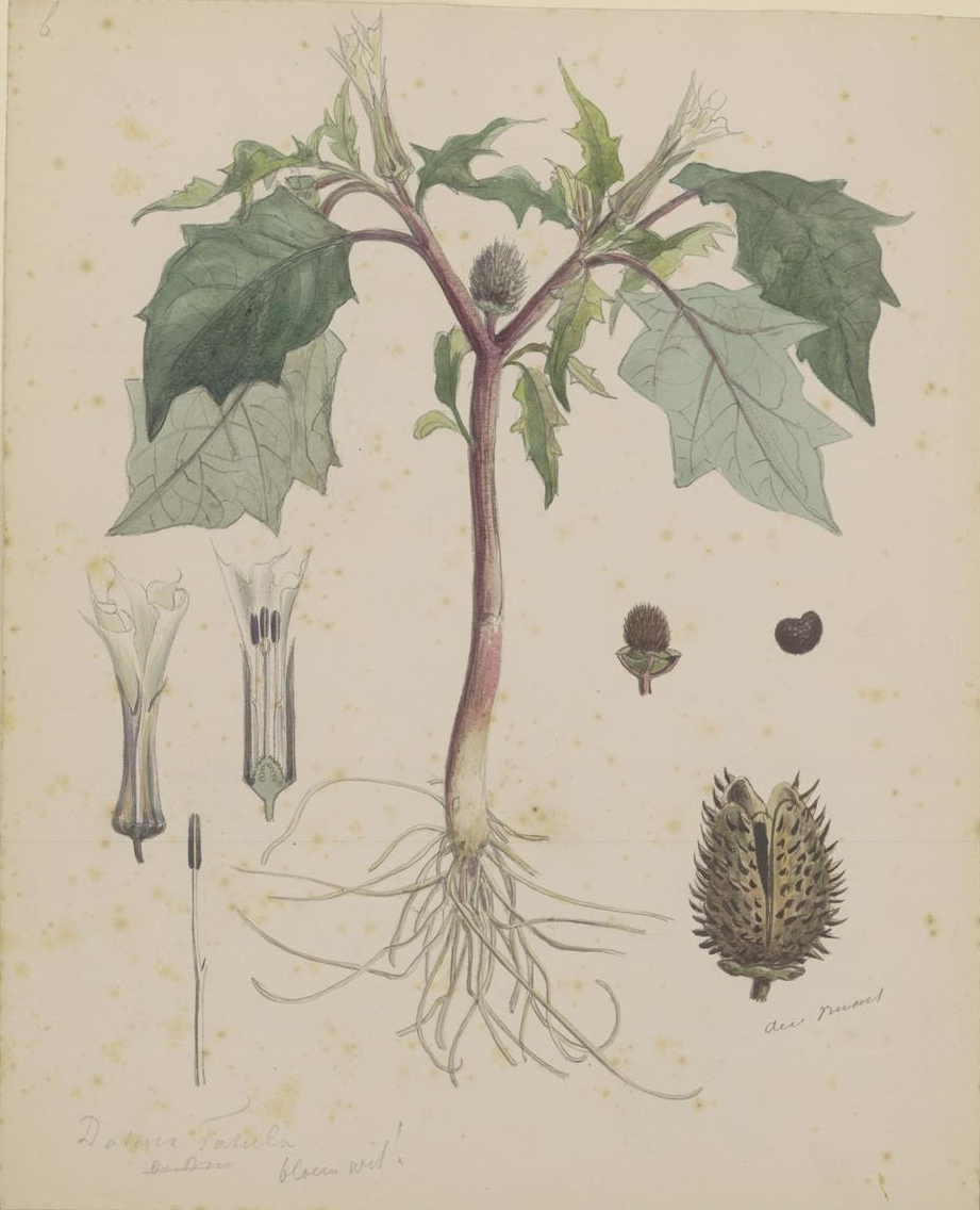 no full size  illustration available (3a)