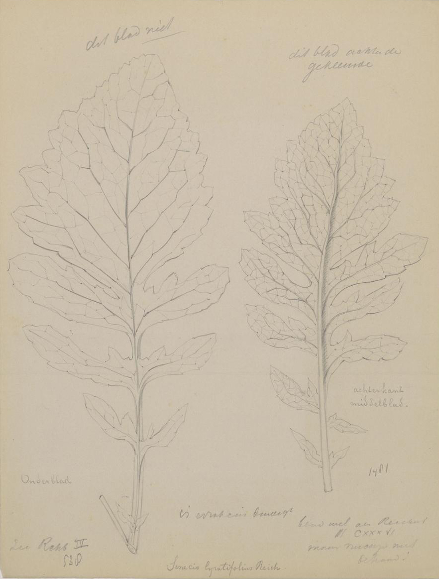 no full size  illustration available (3a)