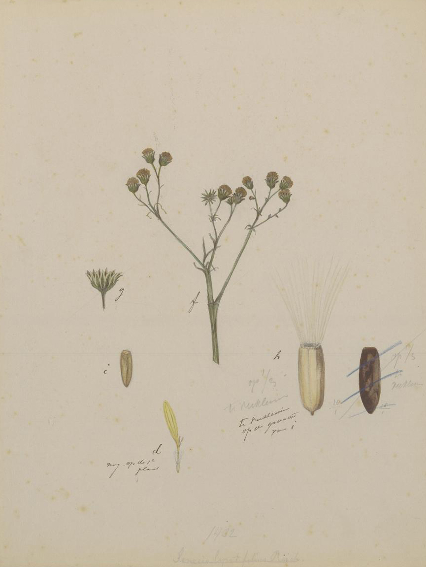 no full size  illustration available (3a)