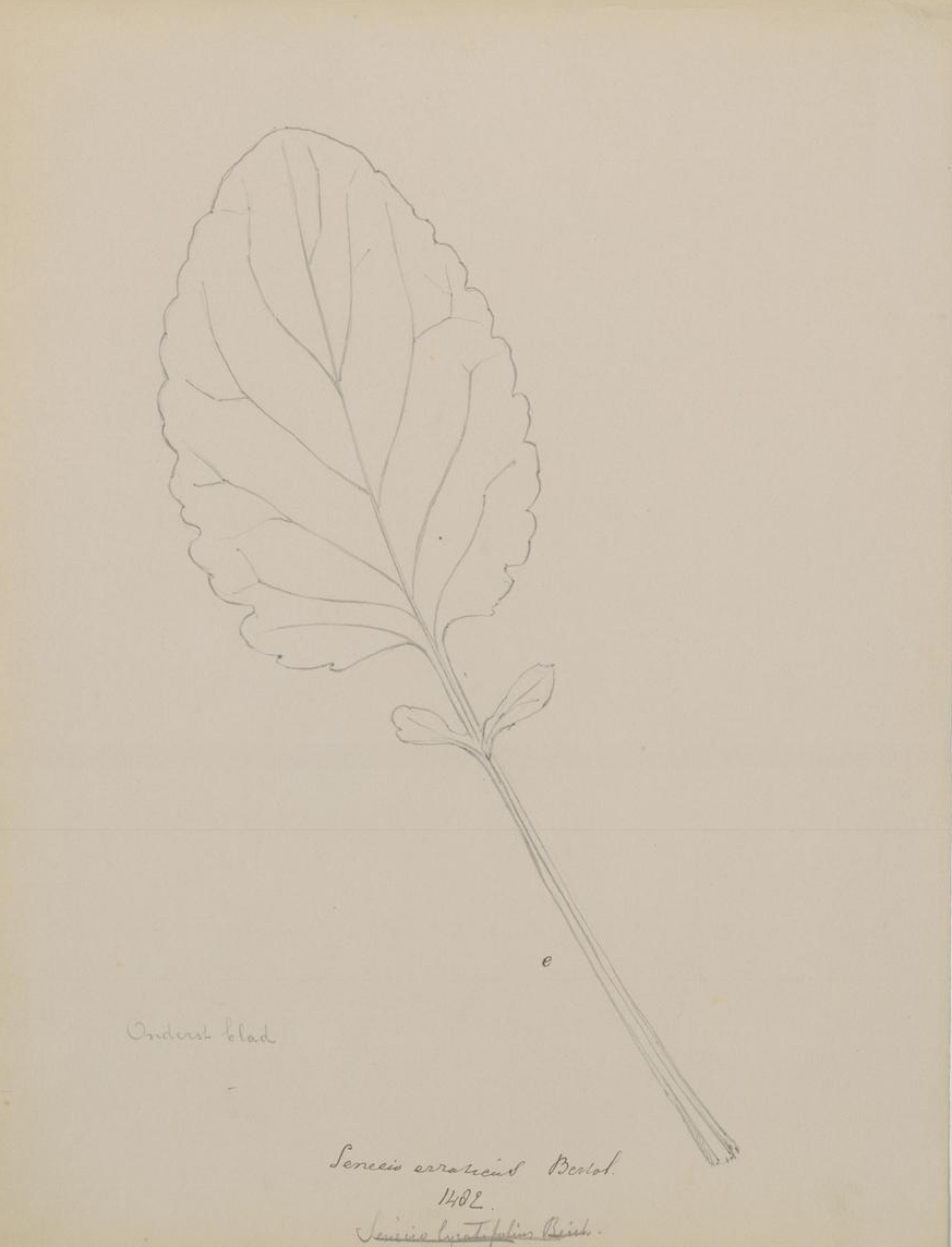 no full size  illustration available (3a)