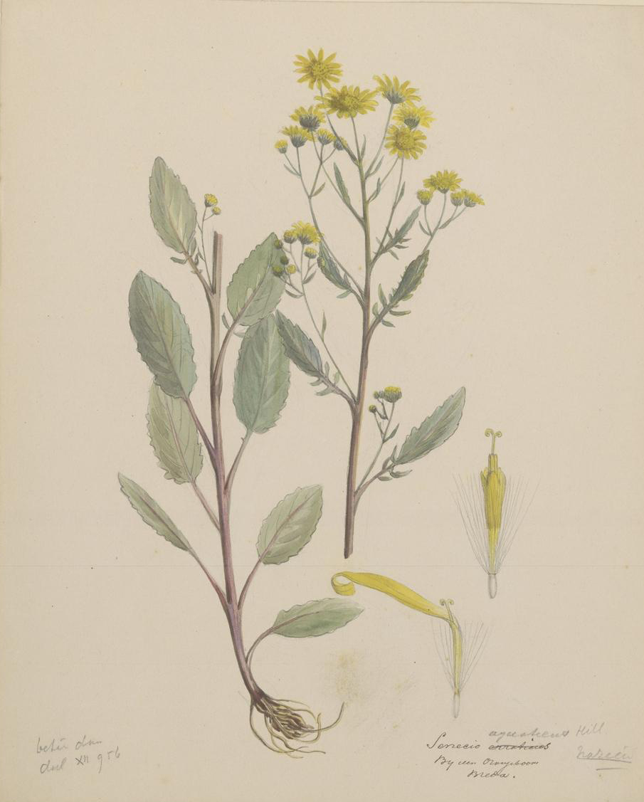 no full size  illustration available (3a)