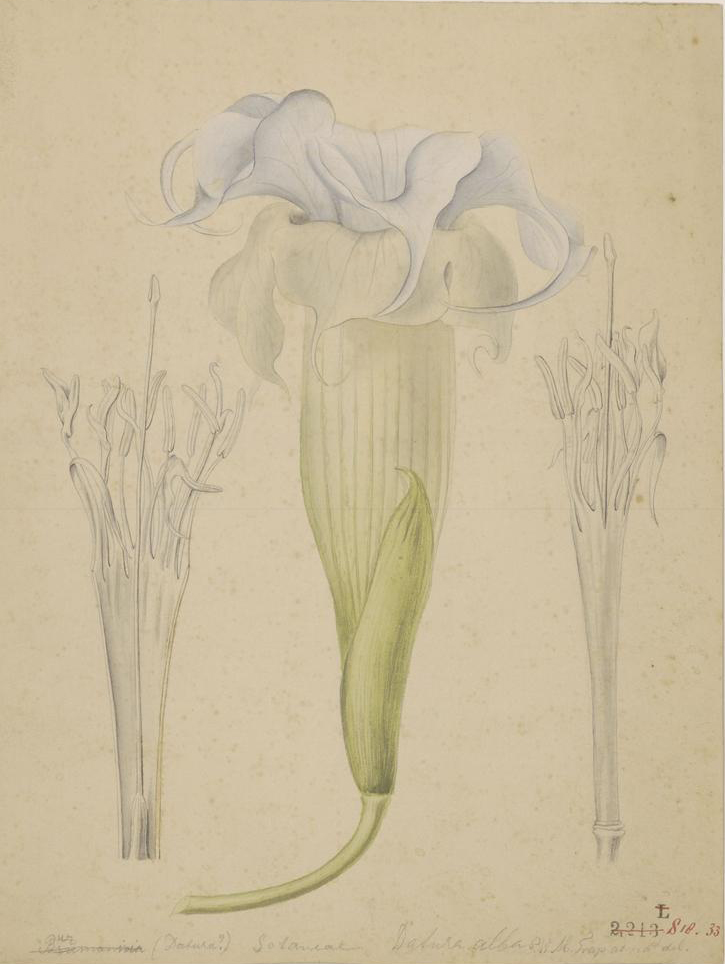 no full size  illustration available (3a)