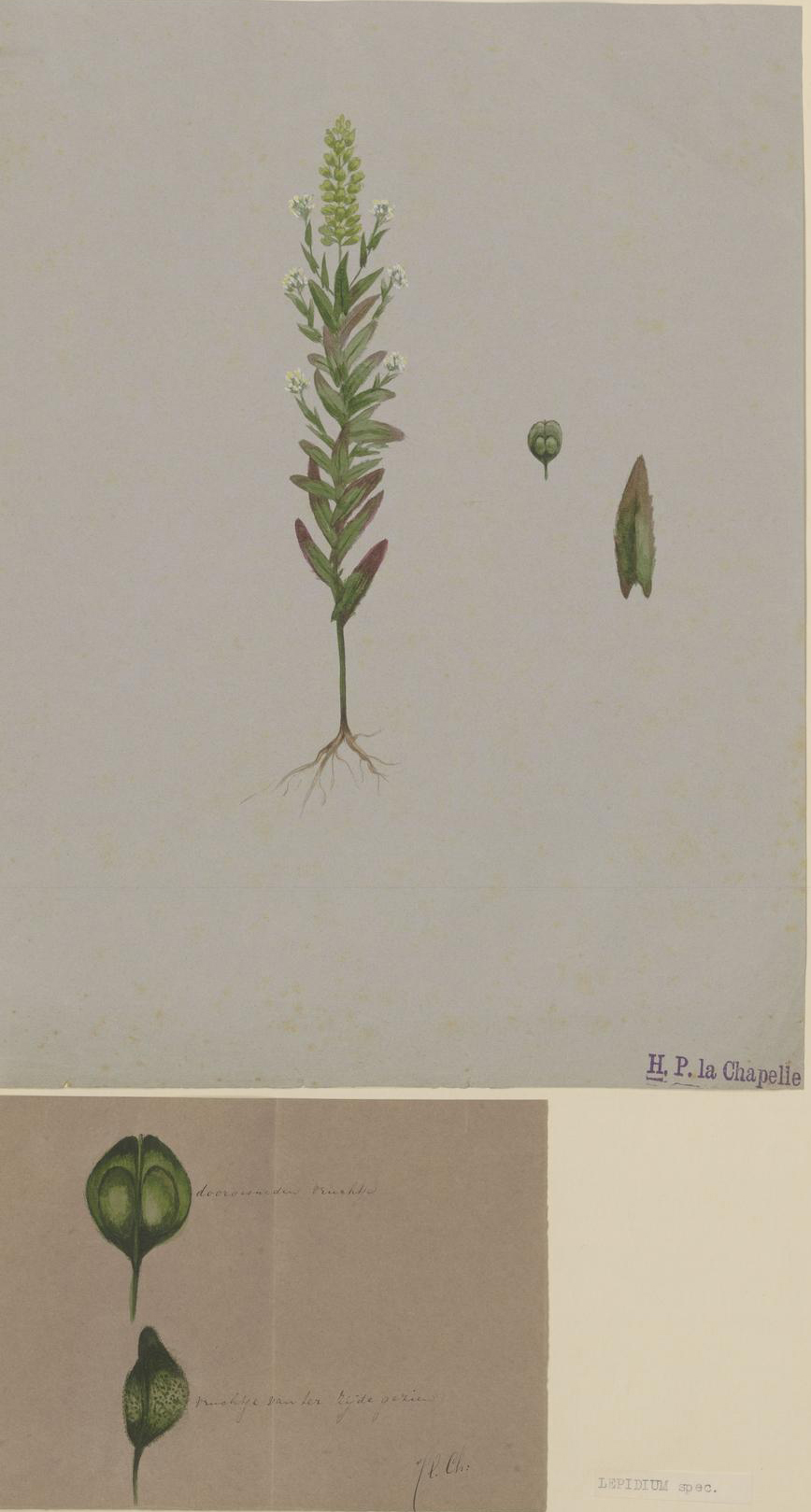 no full size  illustration available (3a)