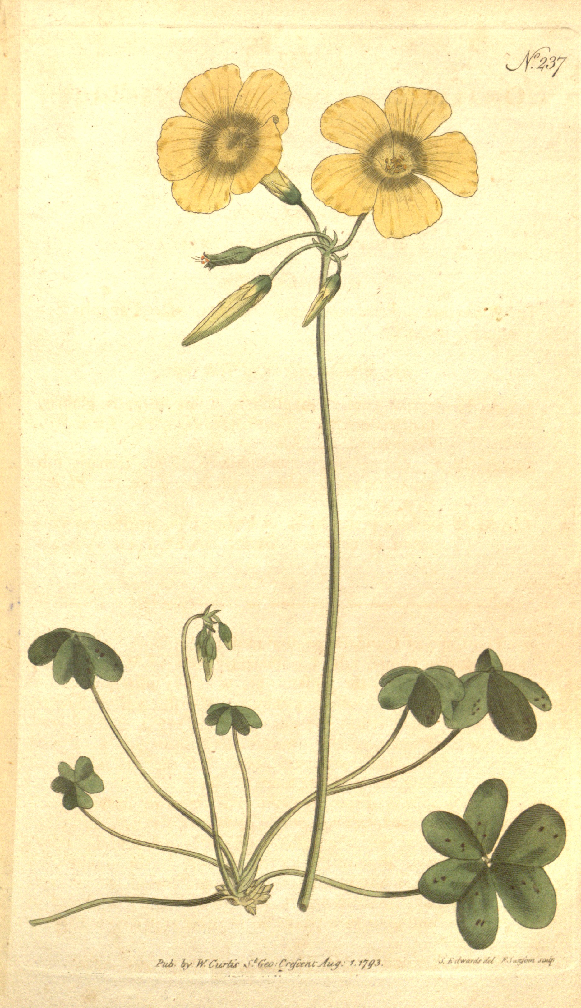 no full size  illustration available (3a)