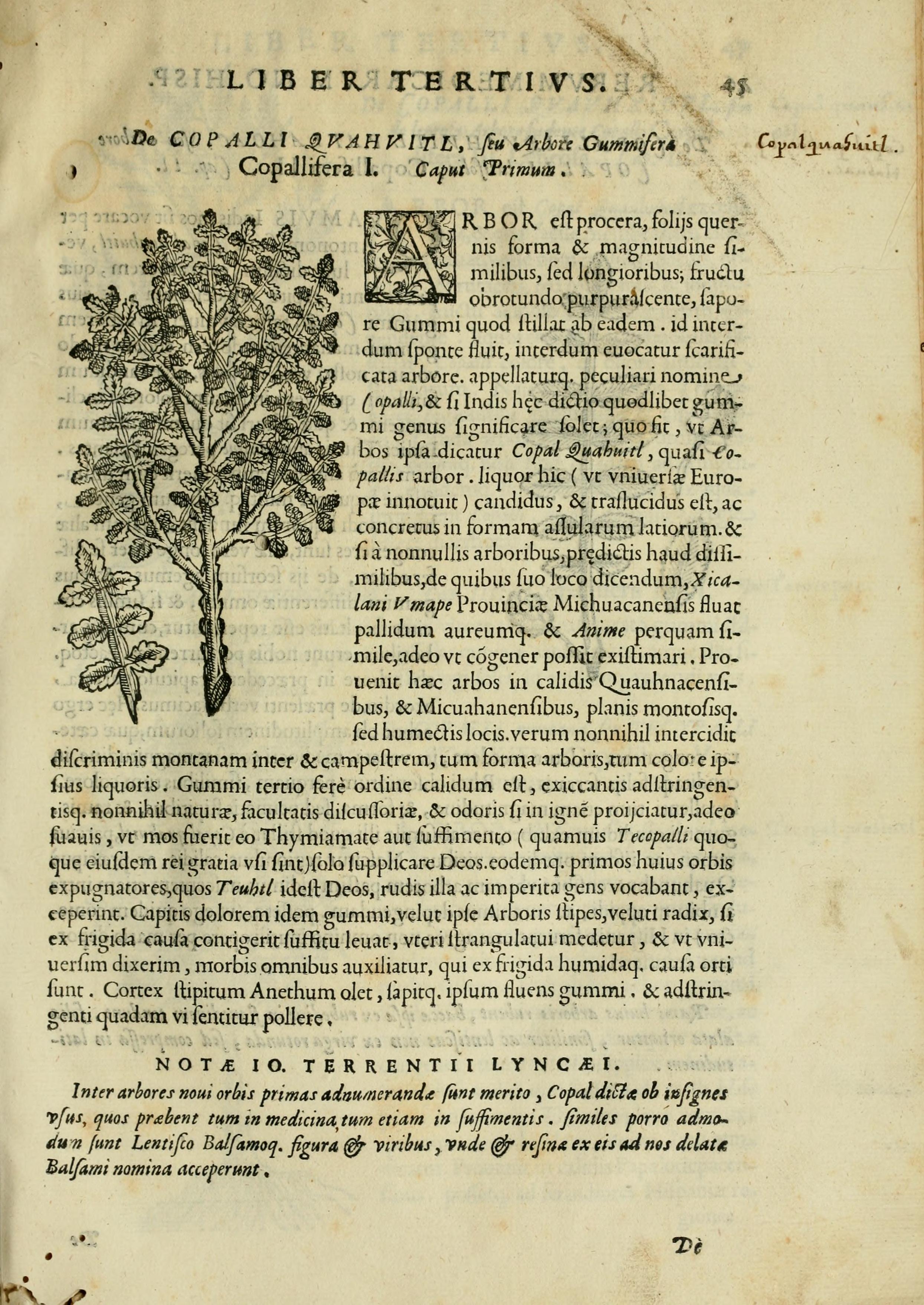 no full size  illustration available (3a)