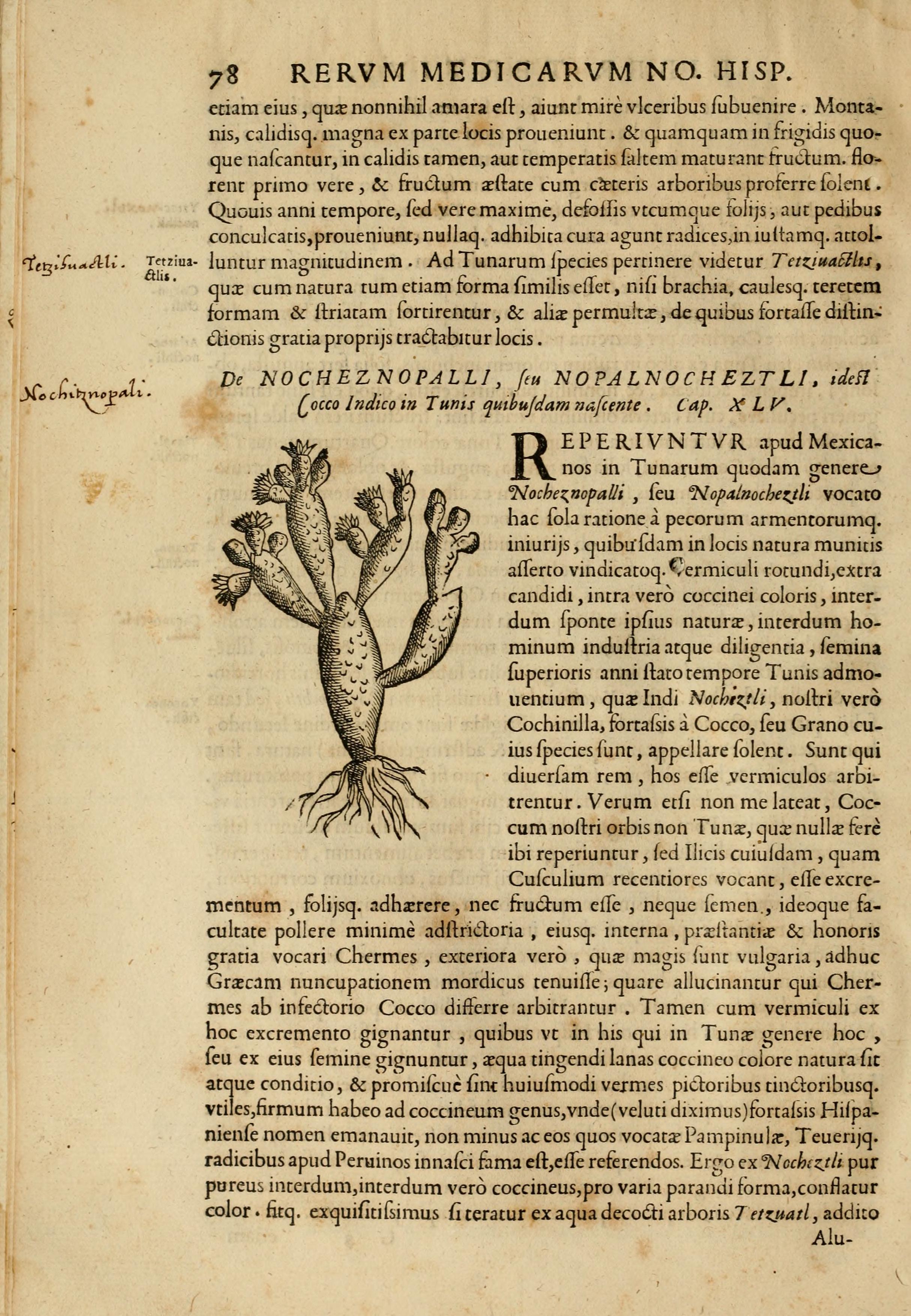 no full size  illustration available (3a)