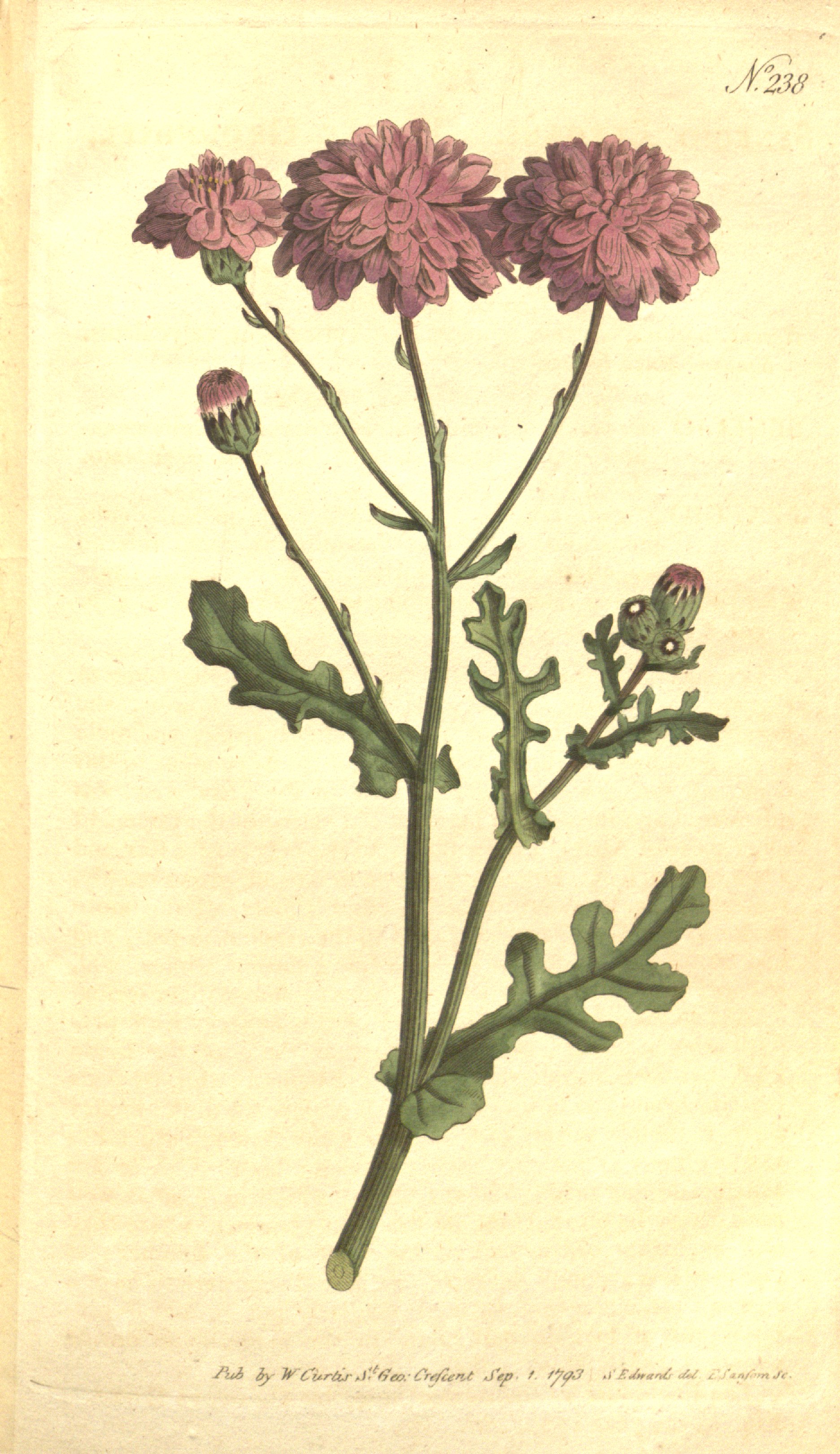 no full size  illustration available (3a)