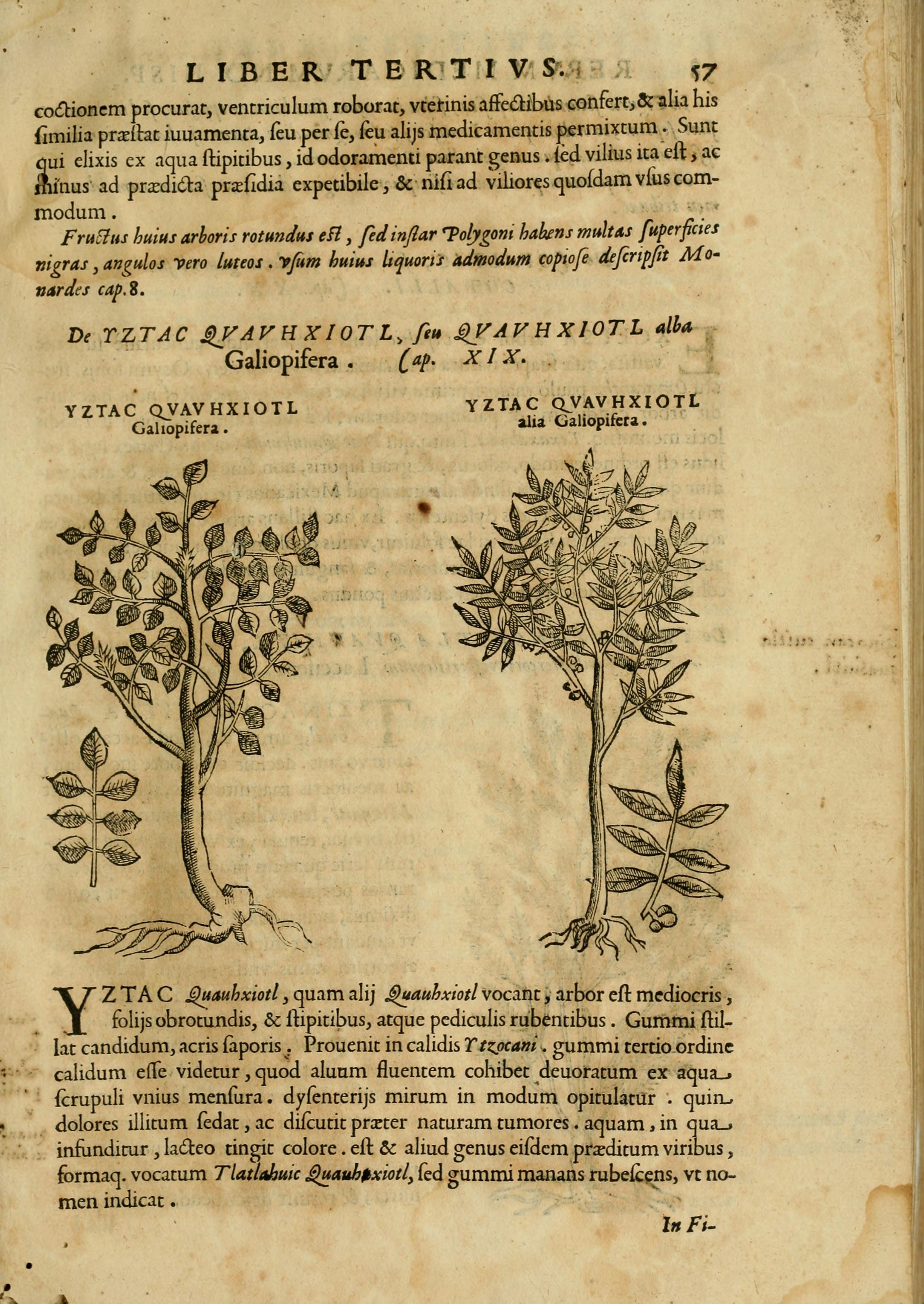 no full size  illustration available (3a)