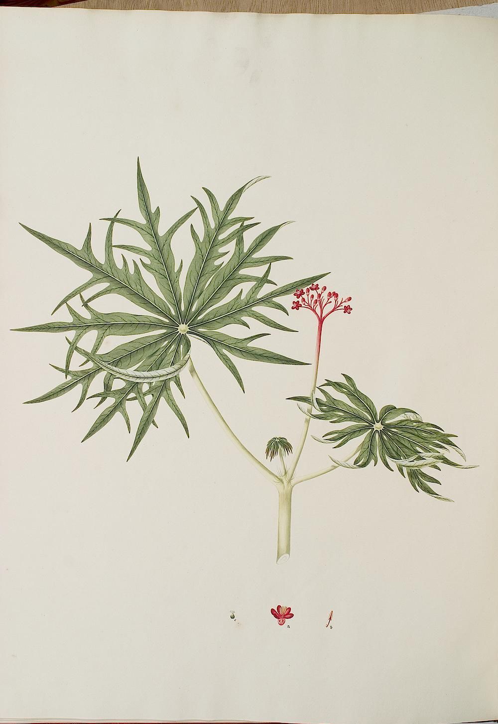 no full size  illustration available (3a)