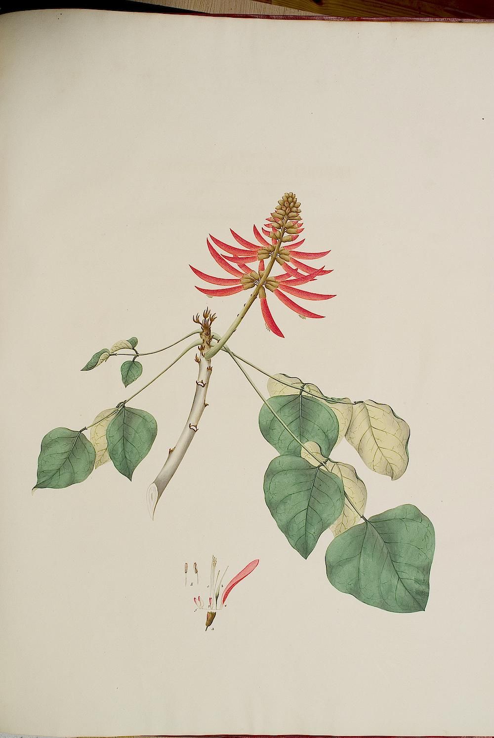 no full size  illustration available (3a)