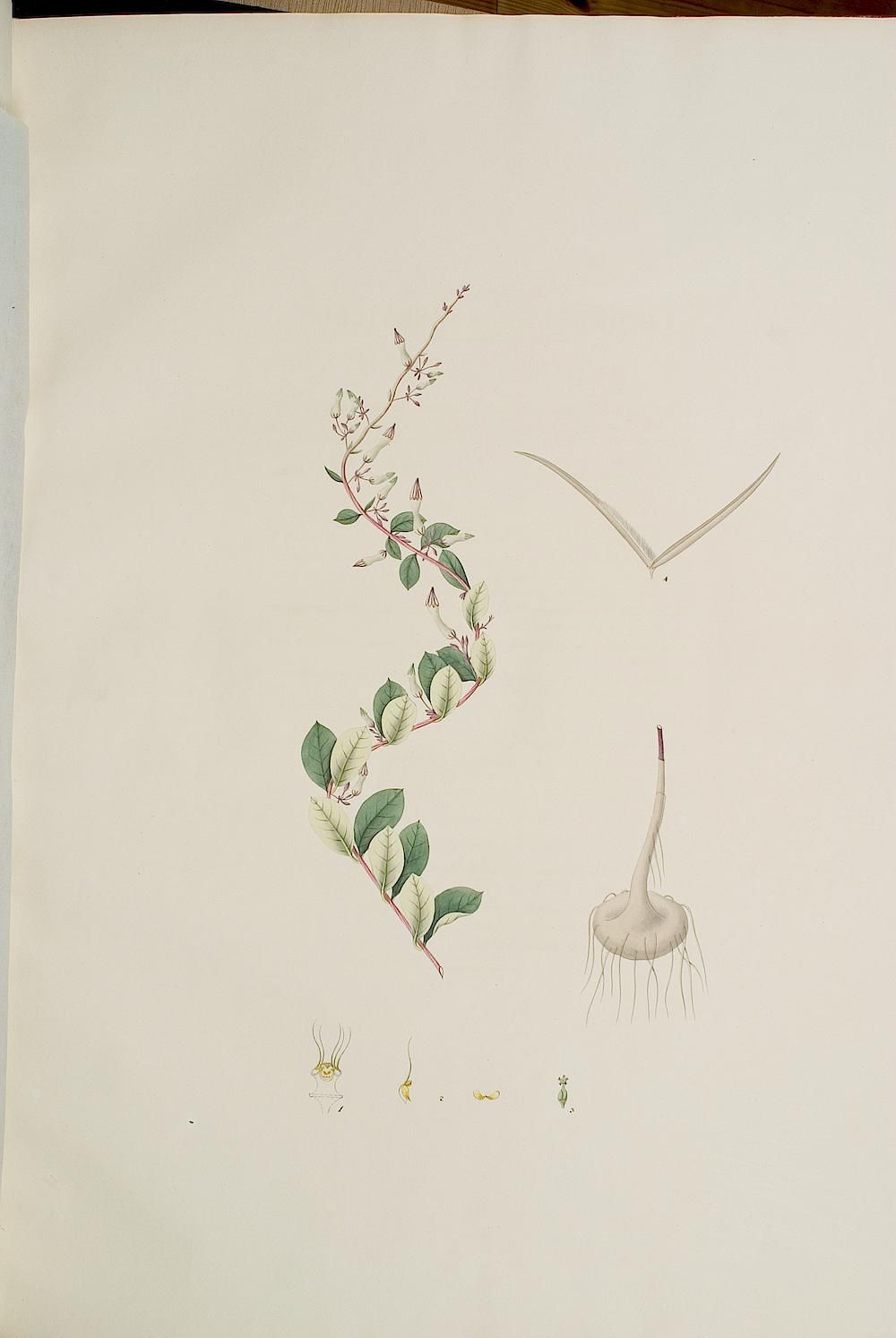 no full size  illustration available (3a)