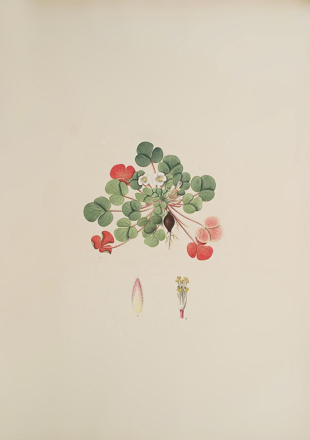 no full size  illustration available (3a)