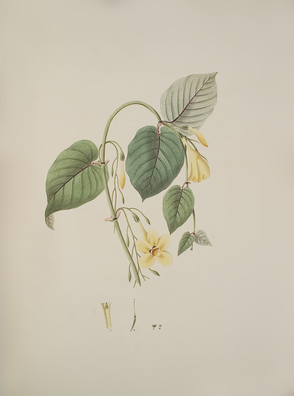 no full size  illustration available (3a)