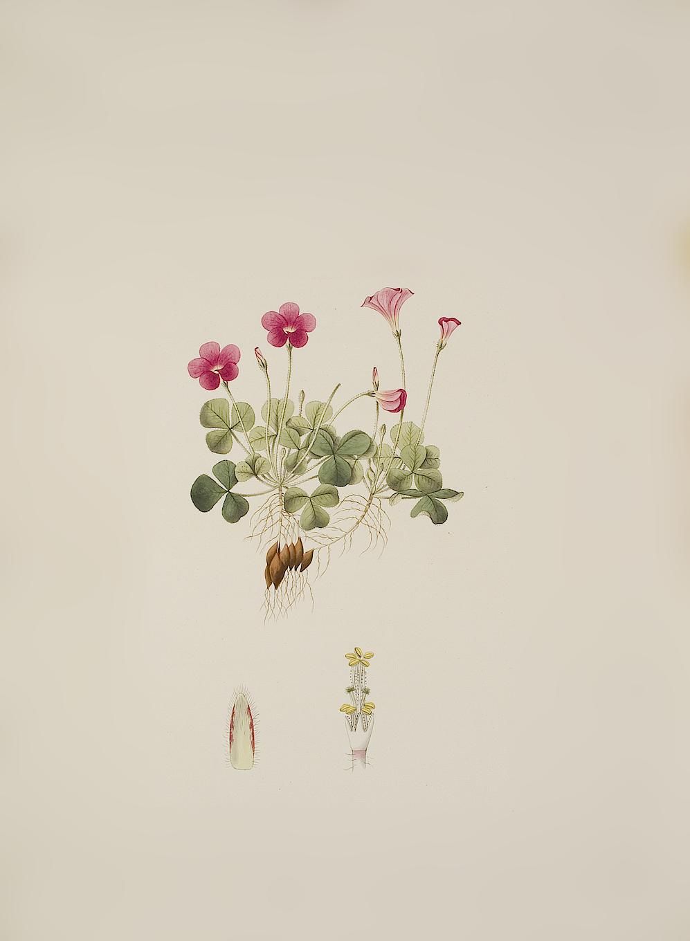 no full size  illustration available (3a)