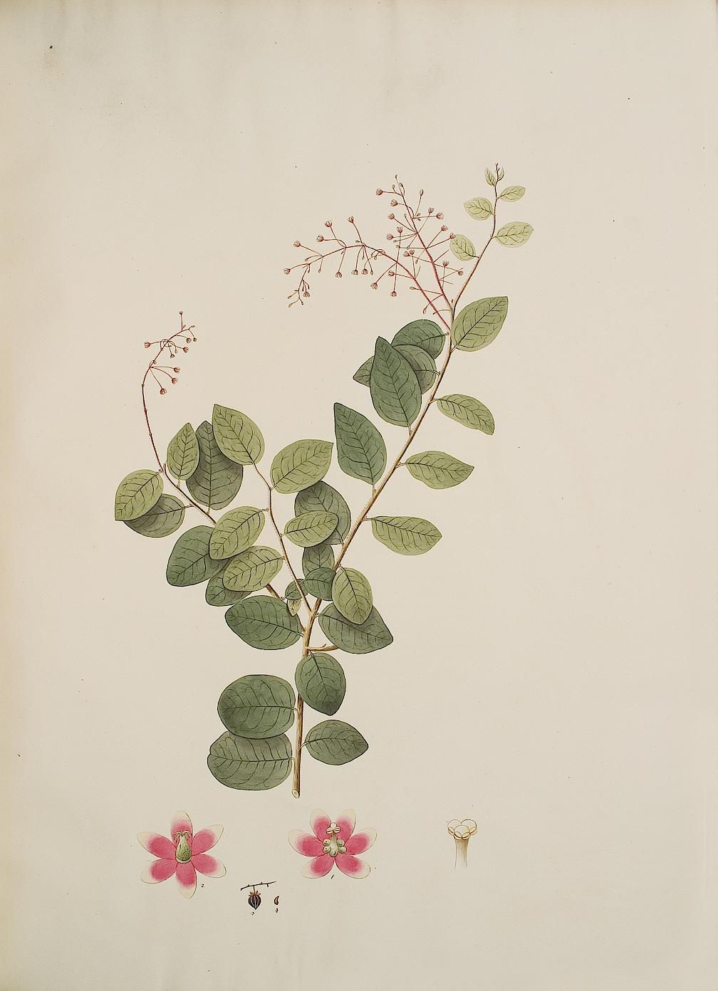 no full size  illustration available (3a)