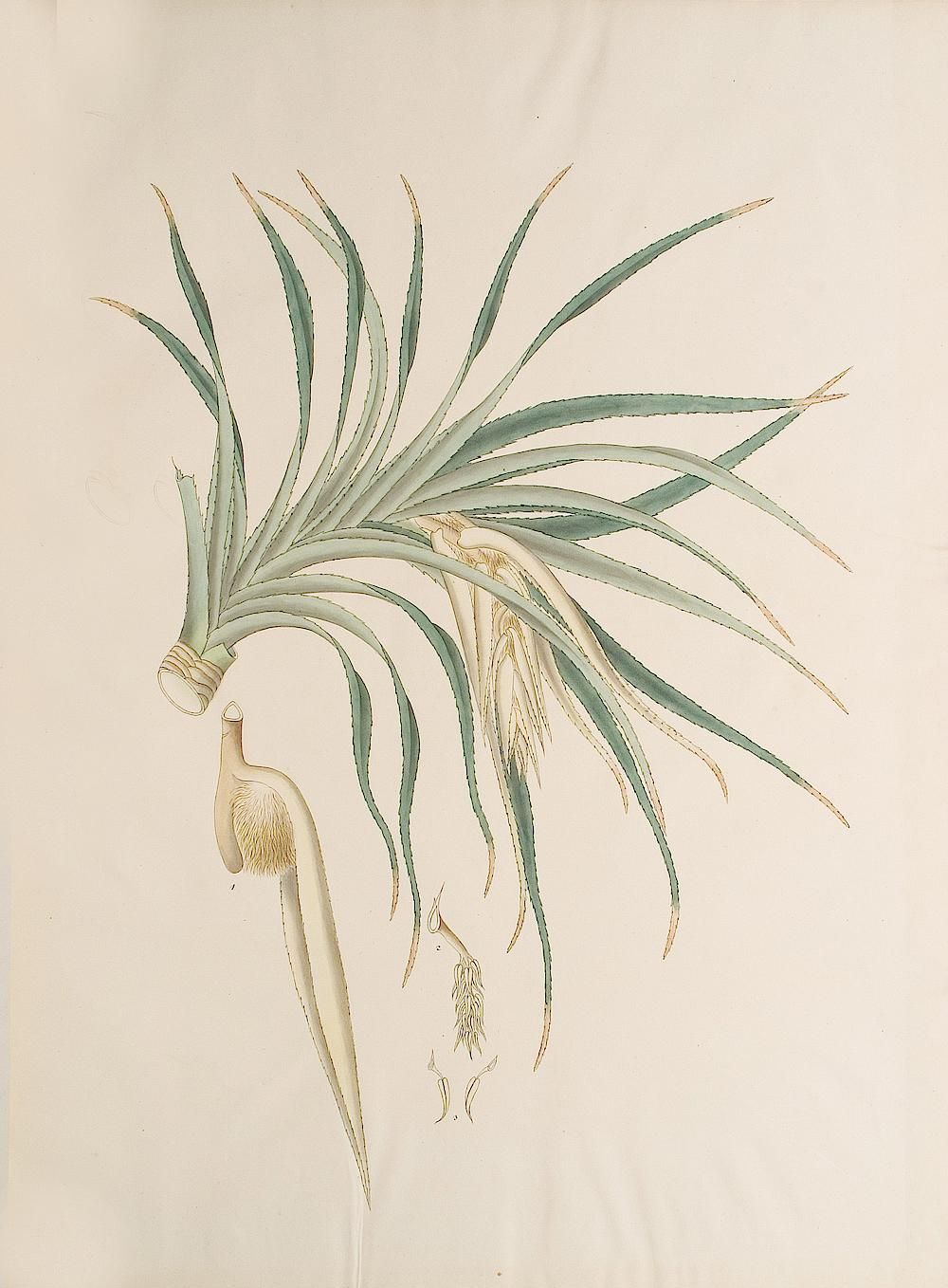 no full size  illustration available (3a)