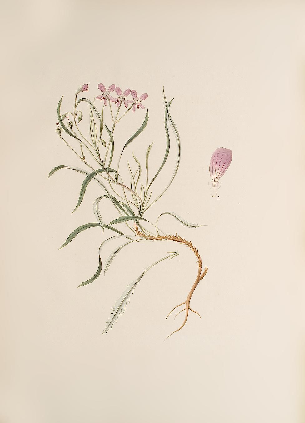 no full size  illustration available (3a)