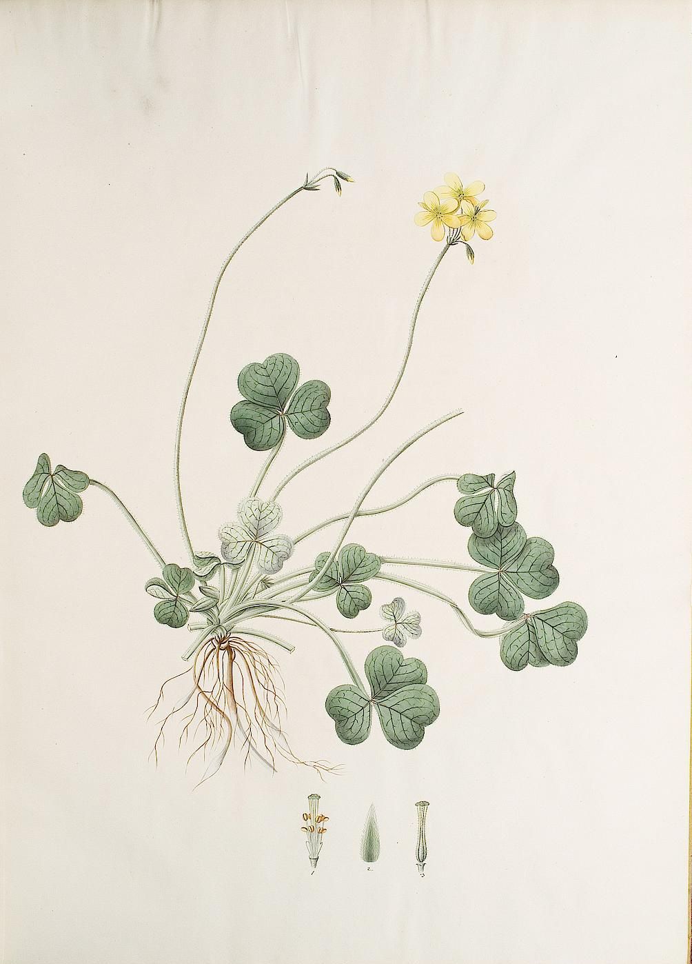 no full size  illustration available (3a)