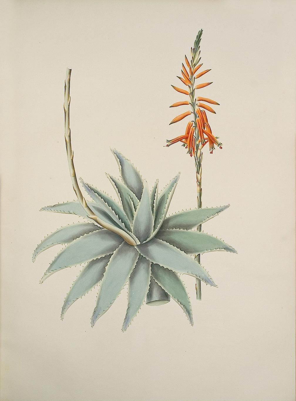 no full size  illustration available (3a)