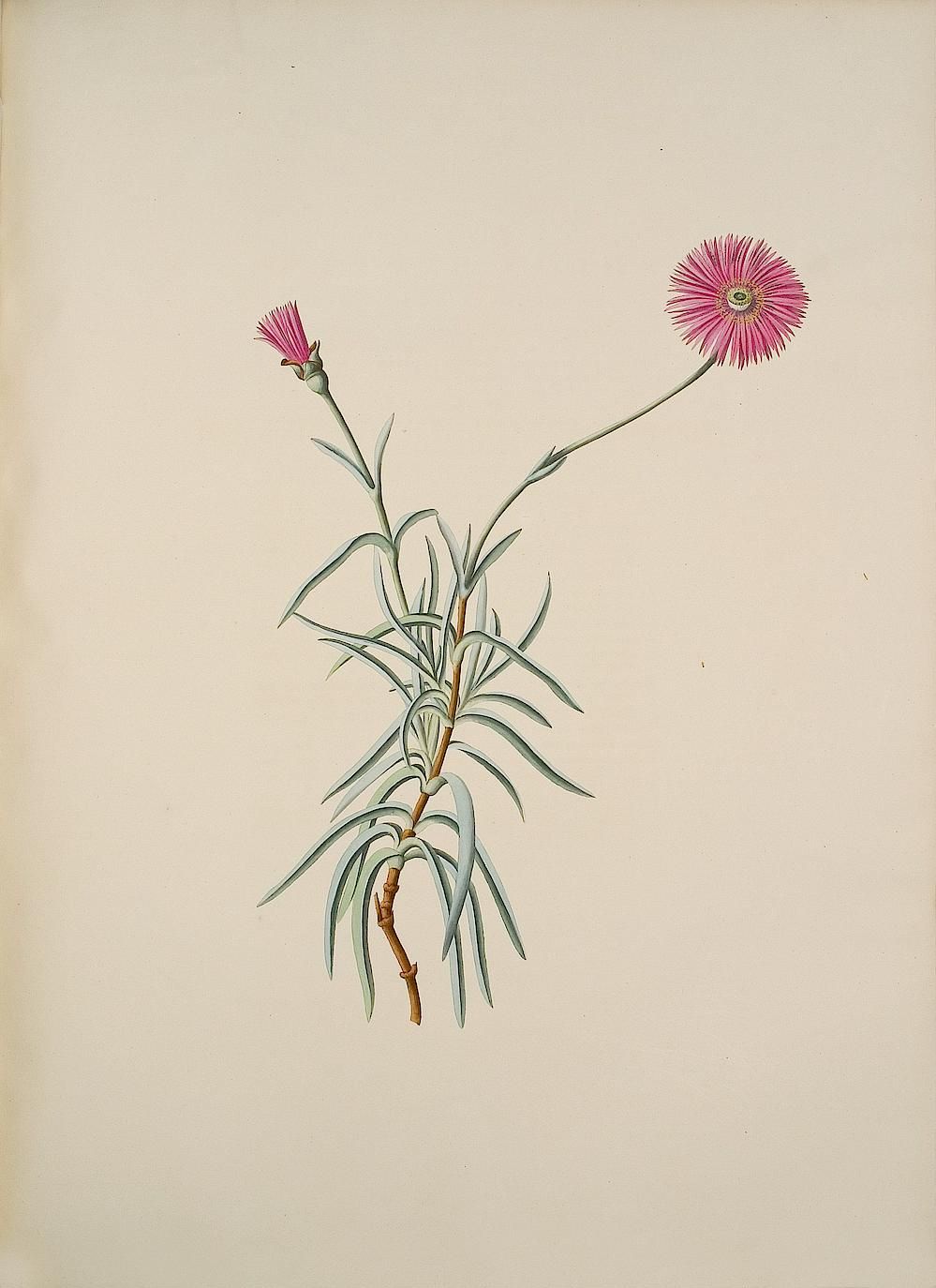 no full size  illustration available (3a)