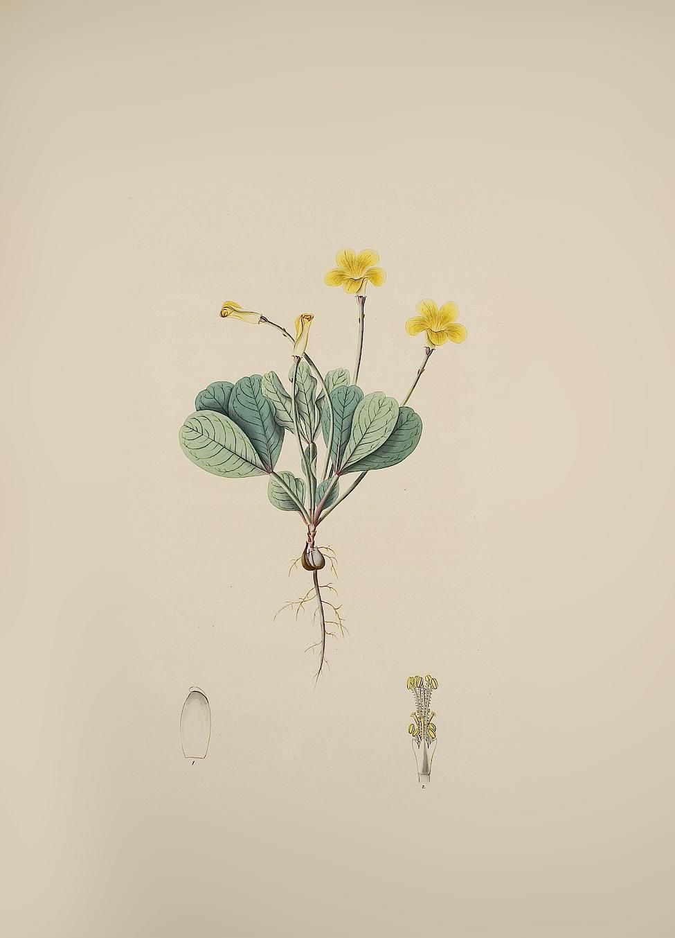 no full size  illustration available (3a)