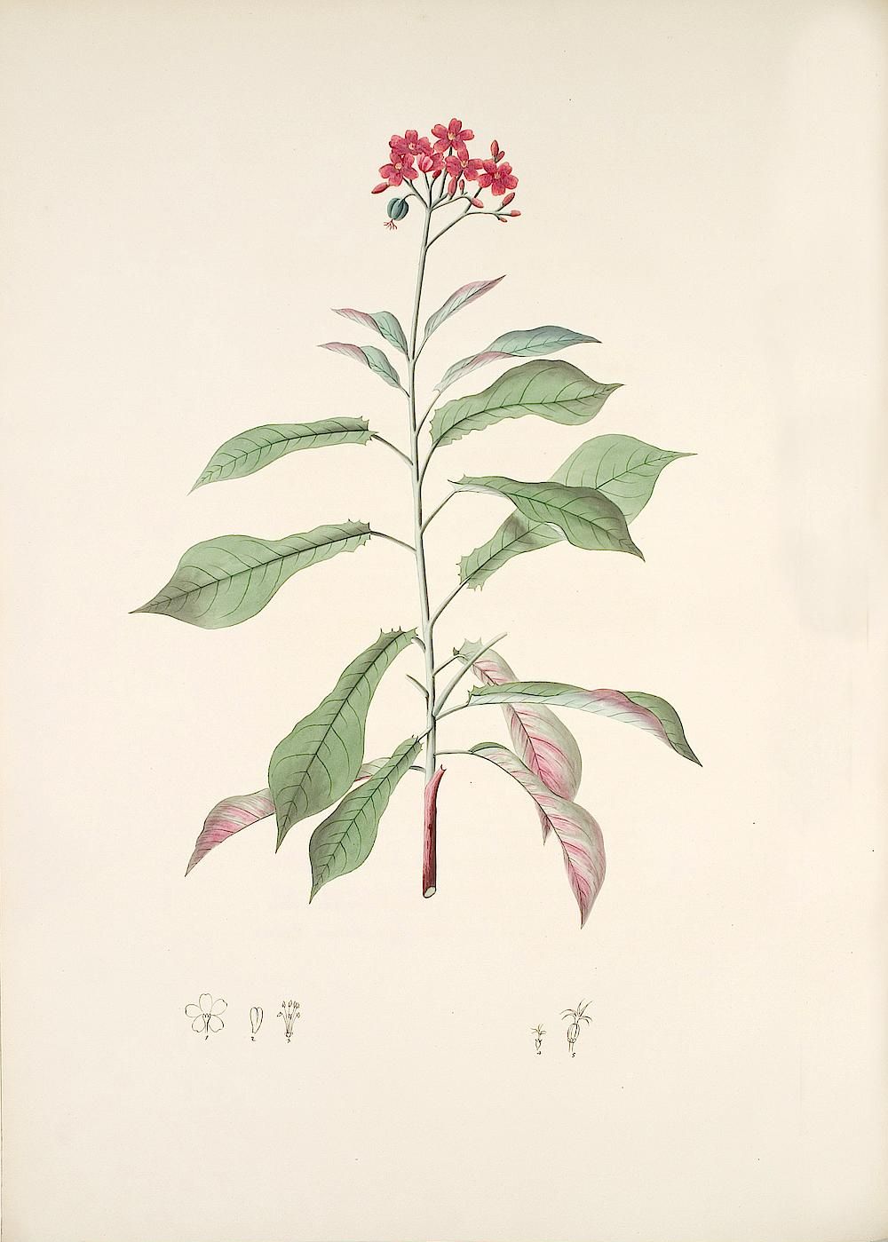 no full size  illustration available (3a)