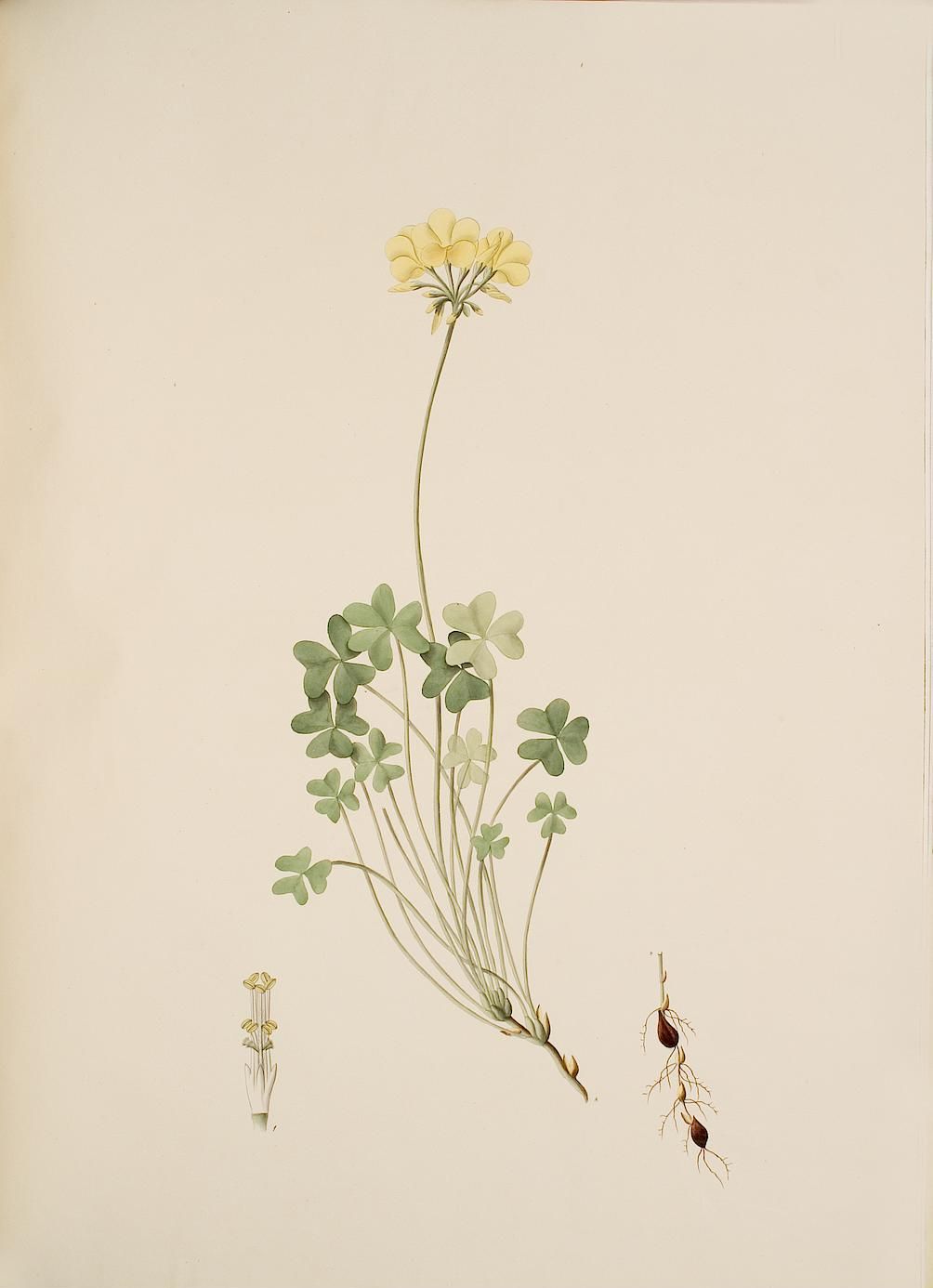 no full size  illustration available (3a)