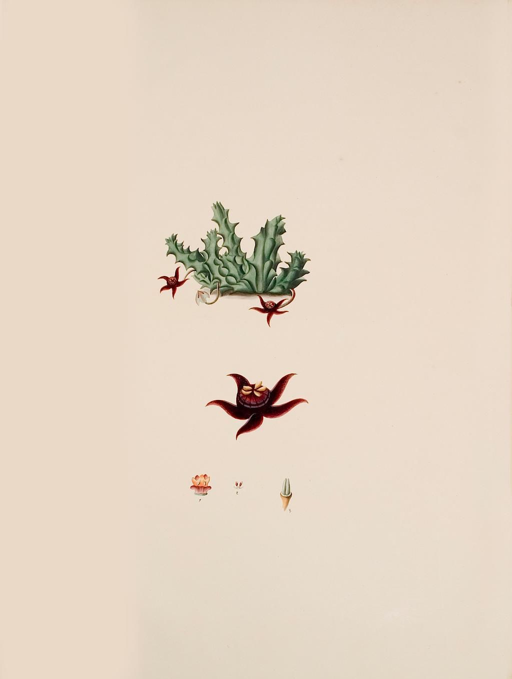 no full size  illustration available (3a)