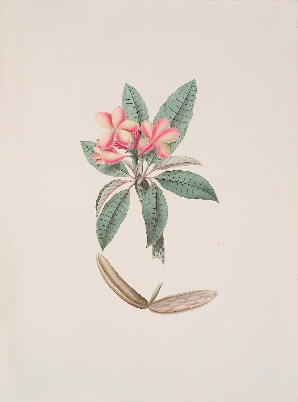 no full size  illustration available (3a)