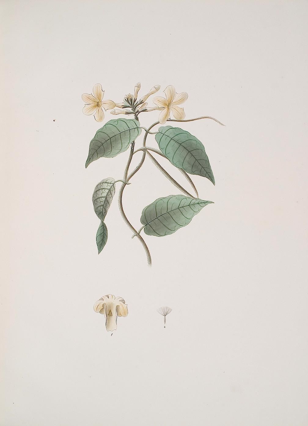 no full size  illustration available (3a)