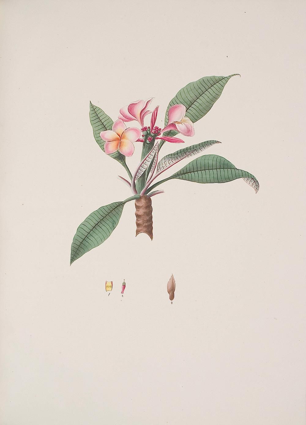 no full size  illustration available (3a)