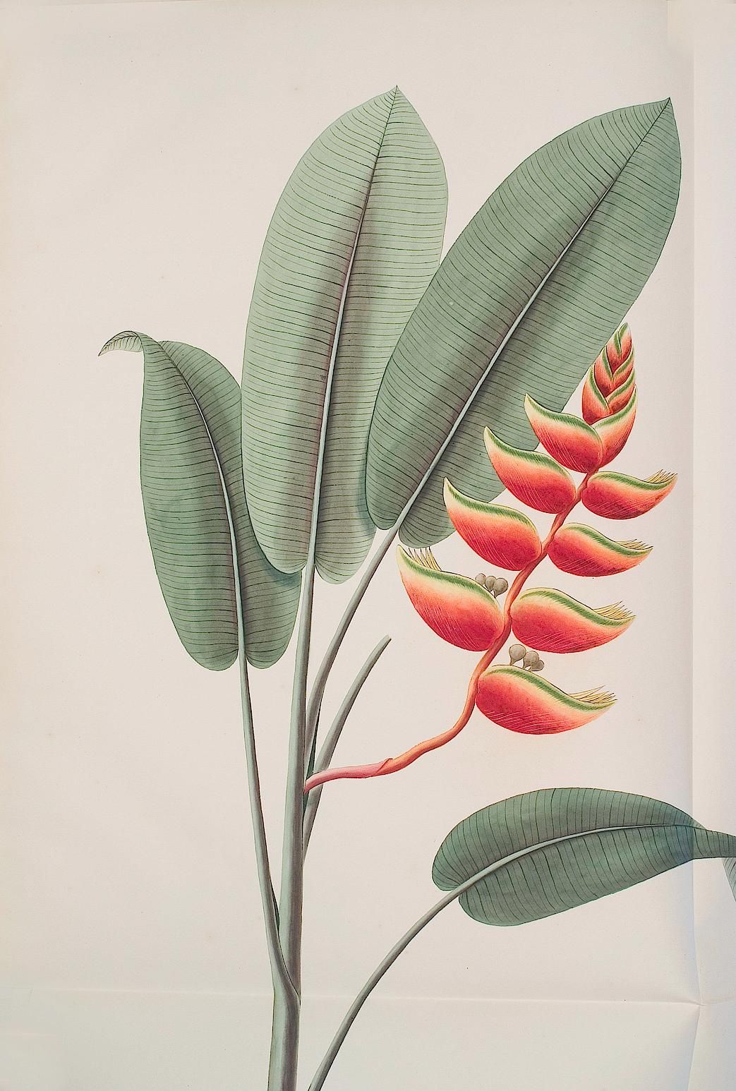 no full size  illustration available (3a)