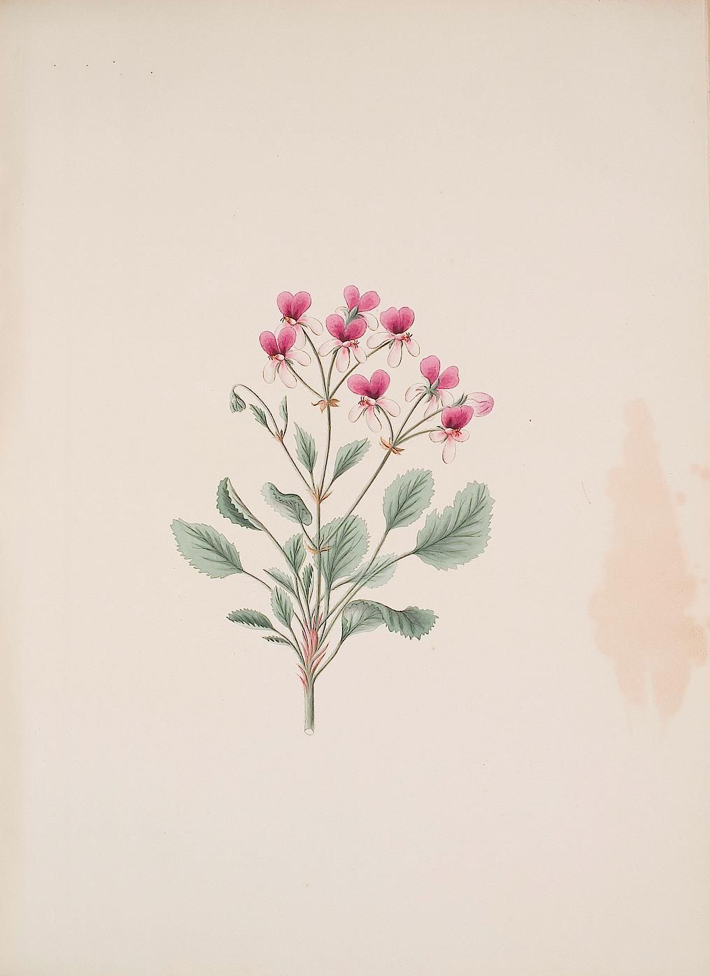 no full size  illustration available (3a)