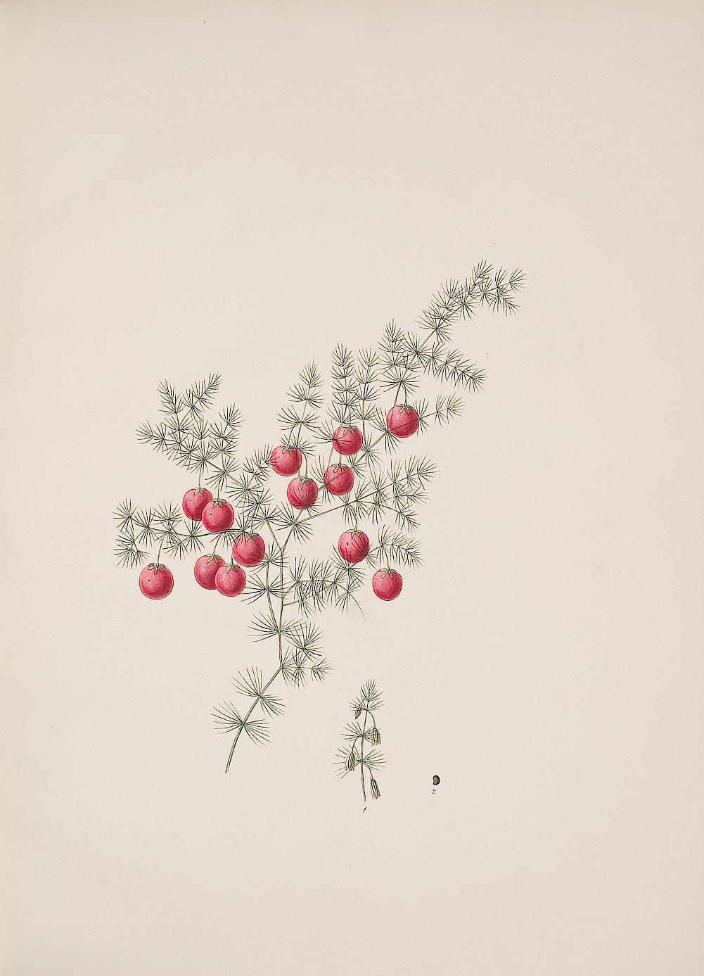 no full size  illustration available (3a)