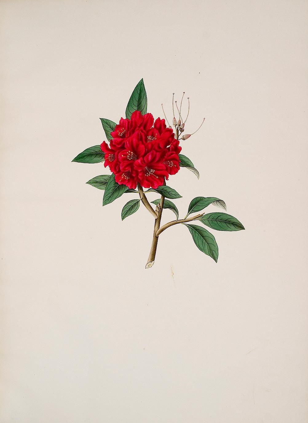 no full size  illustration available (3a)