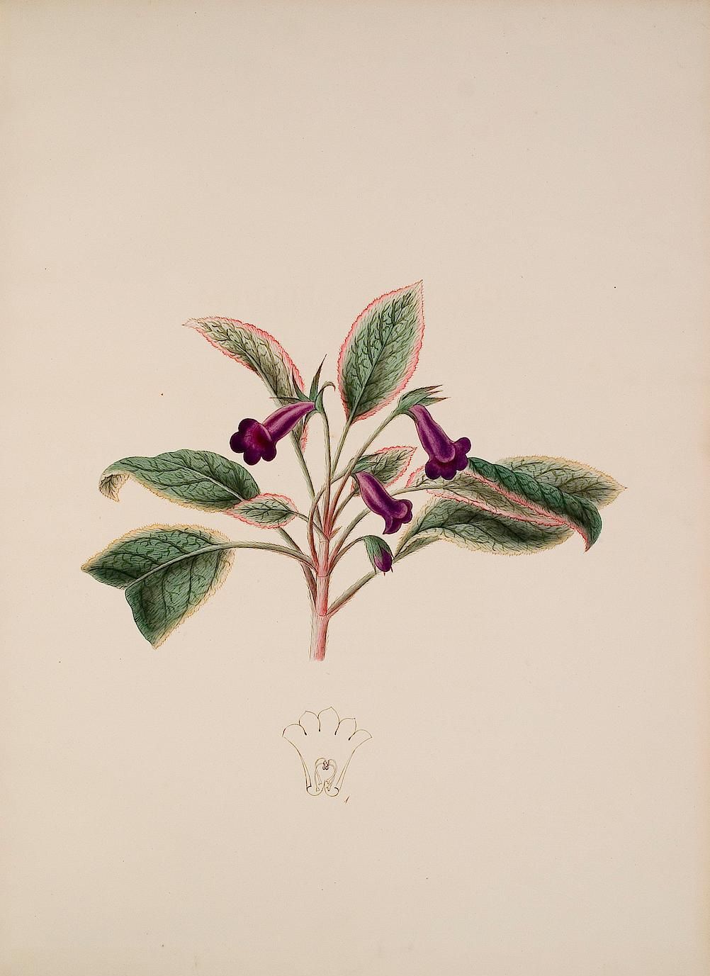 no full size  illustration available (3a)