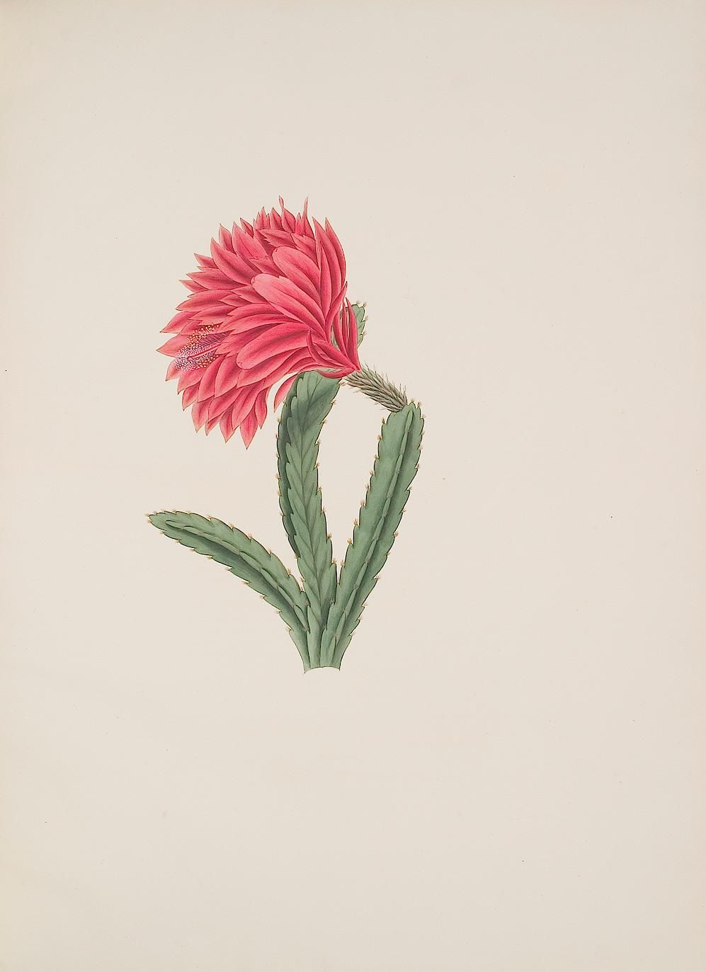 no full size  illustration available (3a)